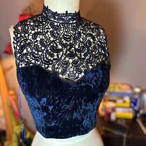 Never blue velvet and lace crop top